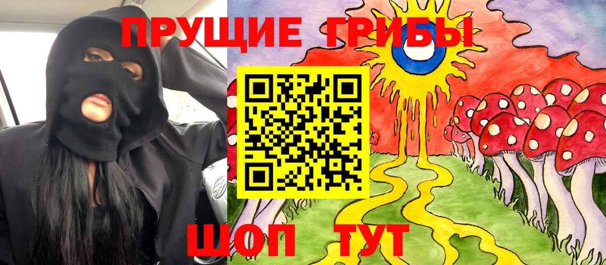 Галлюциногенные грибы прущие грибы Черкесск