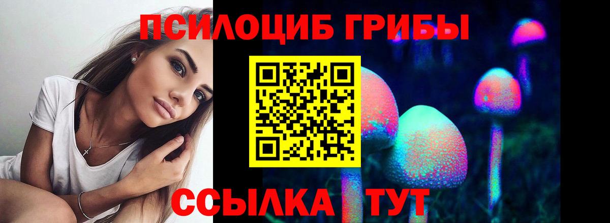 Черкесск  Псилоцибиновые грибы мицелий  Вход с VPN 